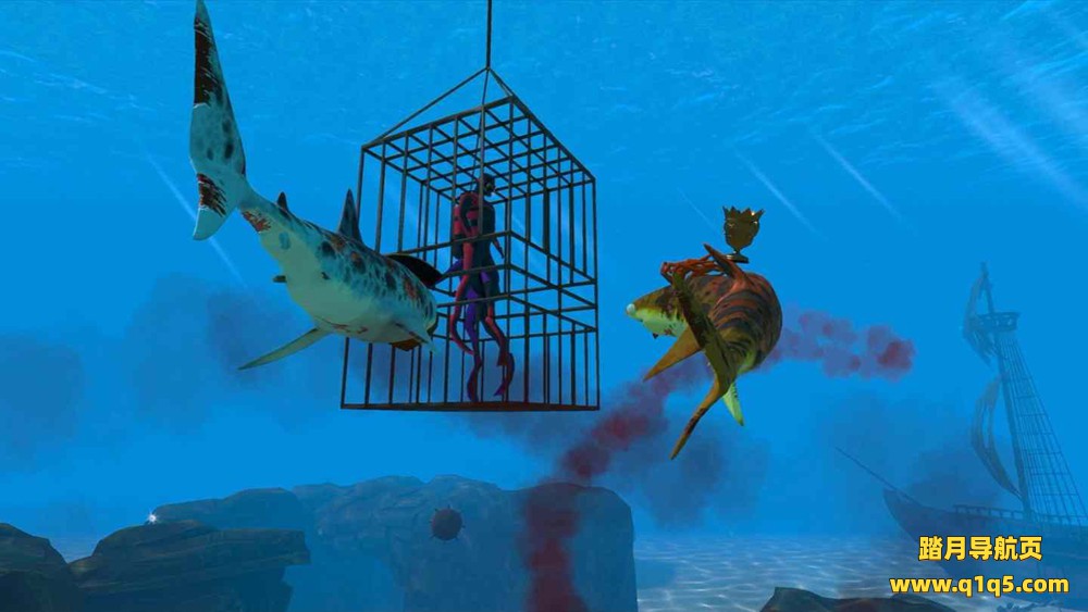 Oculus Quest 游戏《鲨鱼》SHARKS