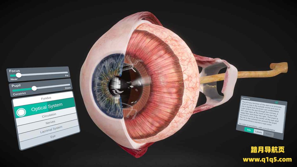 Oculus Quest 游戏《器官解刨学》Sharecare YOU Anatomy VR