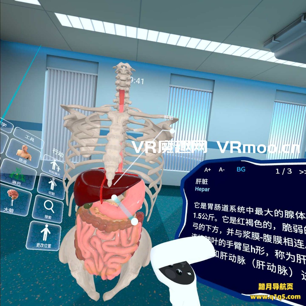 Oculus Quest 游戏《高中解剖学汉化中文版》High School Anatomy for Quest