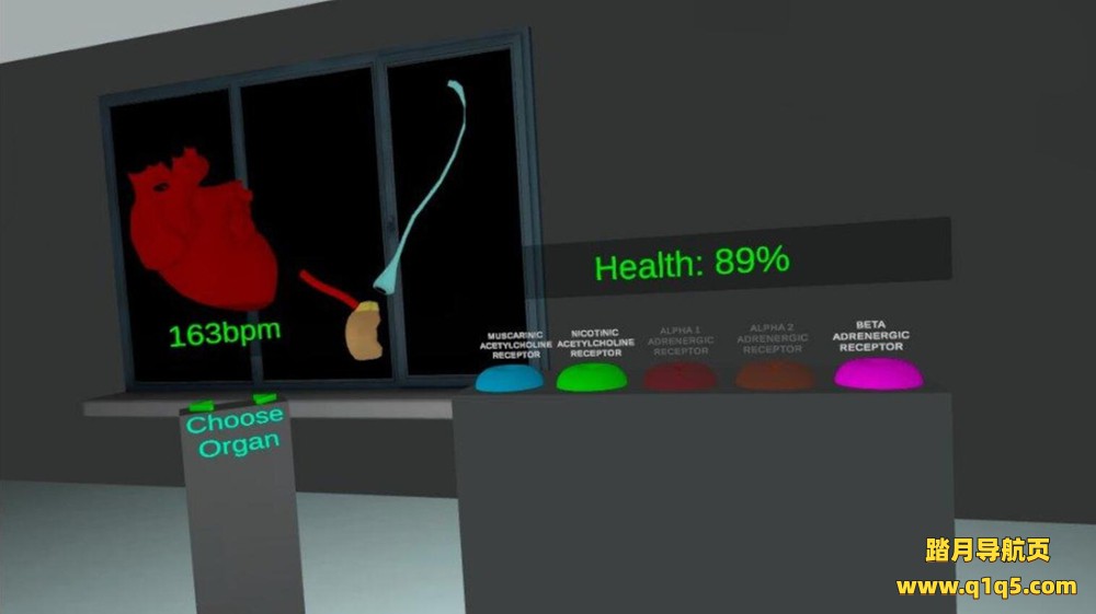 Oculus Quest 游戏《自主神经系统模拟器》Autonomic Nervous System Simulator