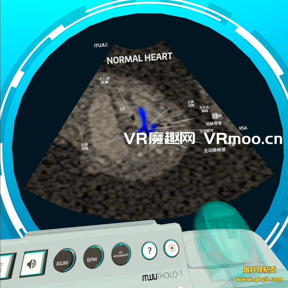 Oculus Quest 医学《心脏病医学VR汉化版》Fetal Heart VR