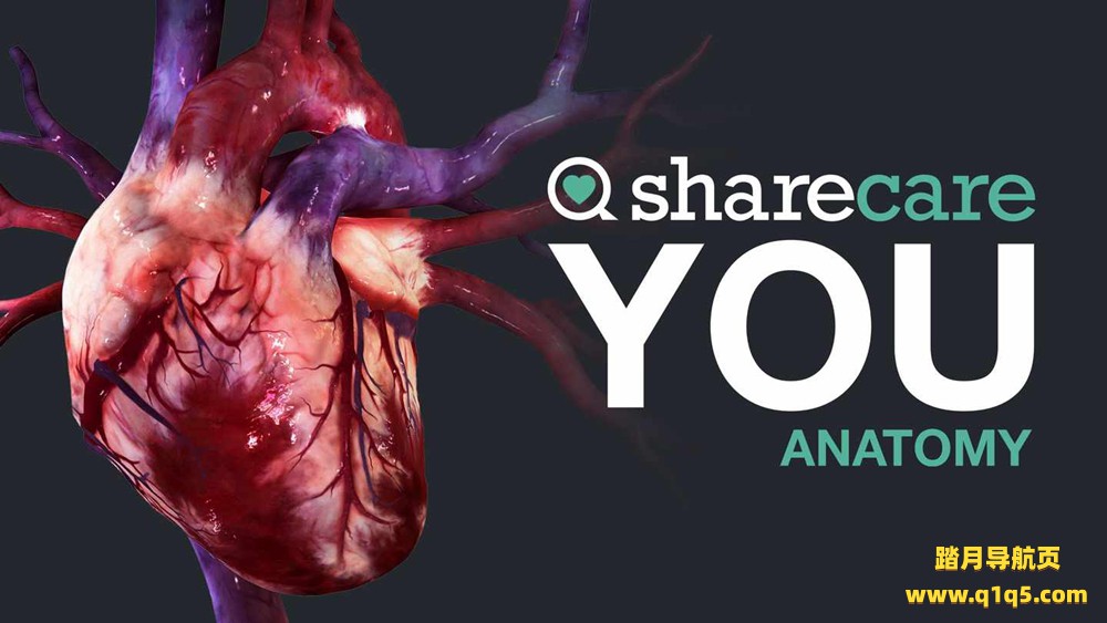 Oculus Quest 游戏《器官解刨学》Sharecare YOU Anatomy VR