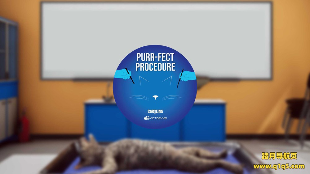 Oculus Quest游戏《解剖模拟器 猫科动物》Dissection Simulator – Cat Edition