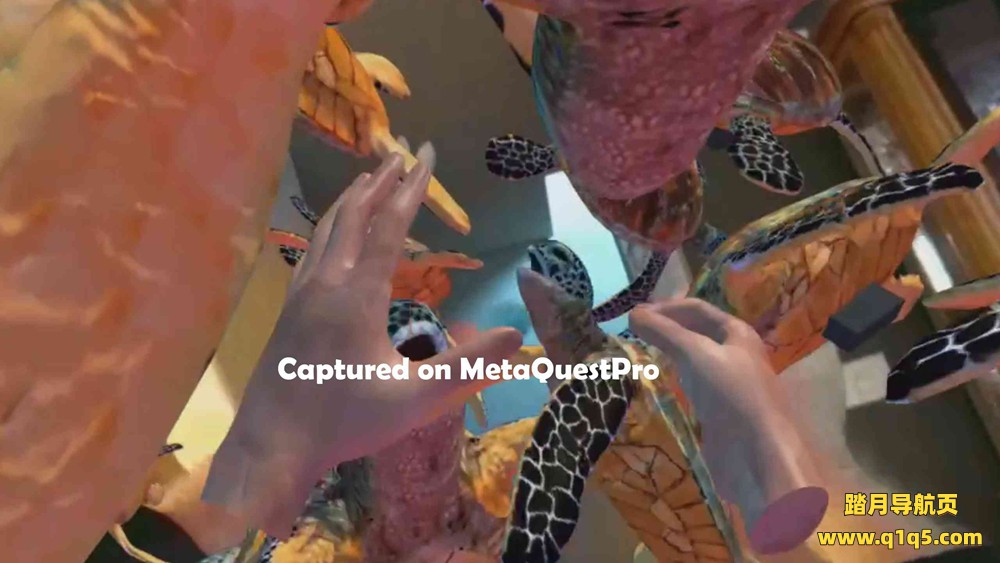 Oculus Quest 游戏《海洋世界》Ocean Passthrough