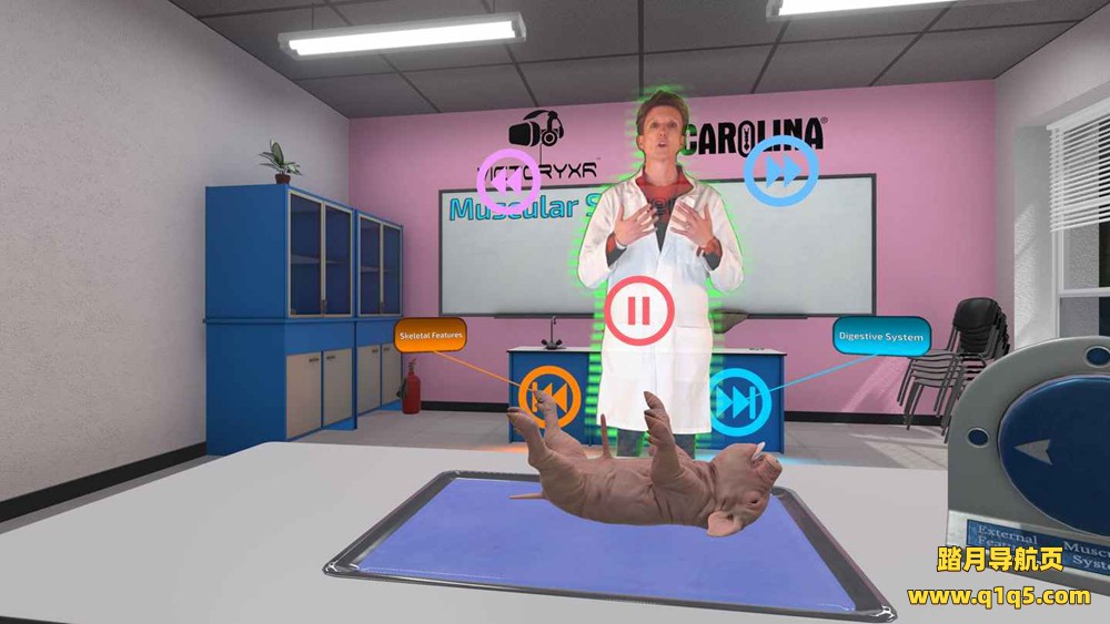 Oculus Quest 游戏《解剖模拟器 小猪》Dissection Simulator – Pig Edition