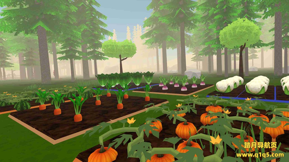 Oculus Quest 游戏《Forest Farm》深林农场