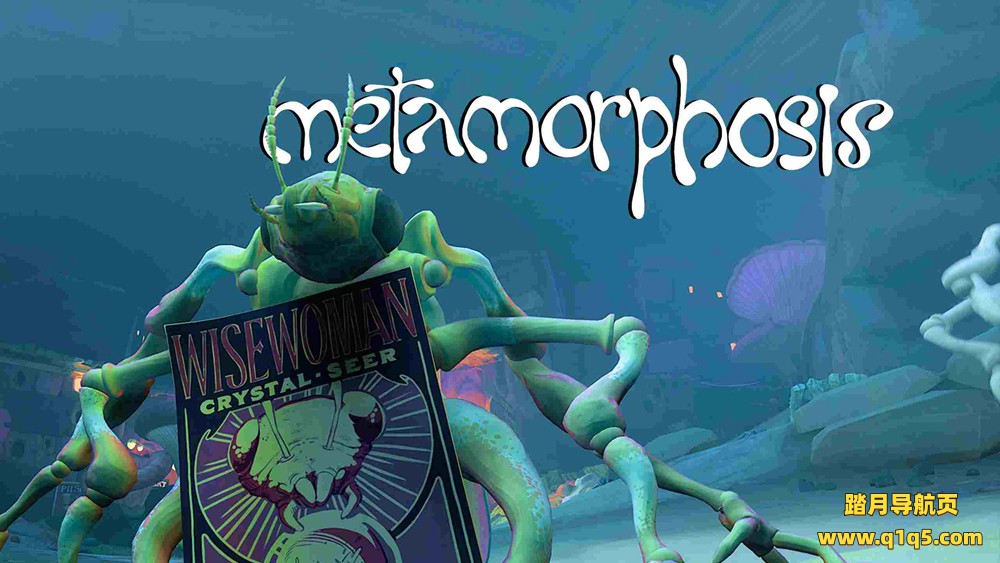 Oculus Quest 游戏《变形记》About Reviews