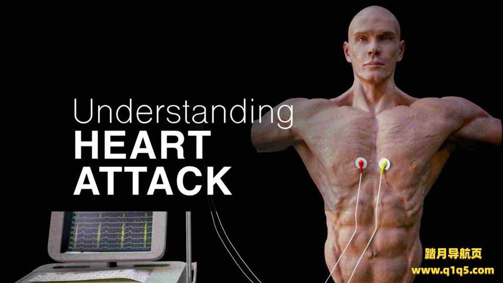 Meta Quest 游戏《了解心脏病》Understanding Heart Attack