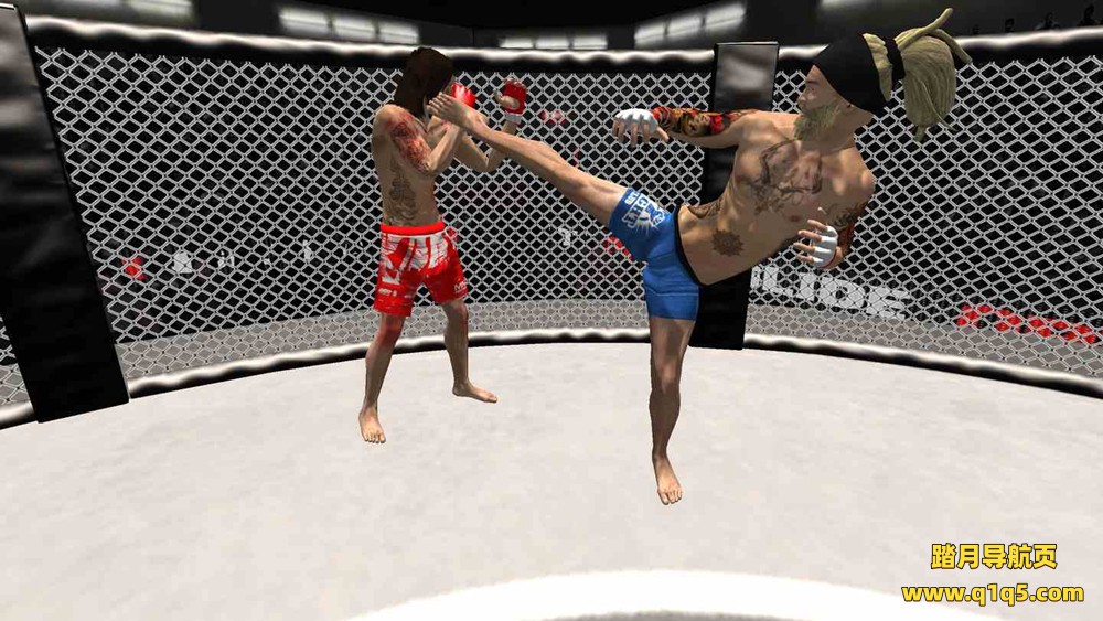 Meta Quest 游戏《VR拳击和格斗》VR Boxing And MMA