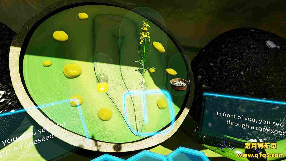 Meta Quest 游戏《VR植物之旅》VR Plant Journey