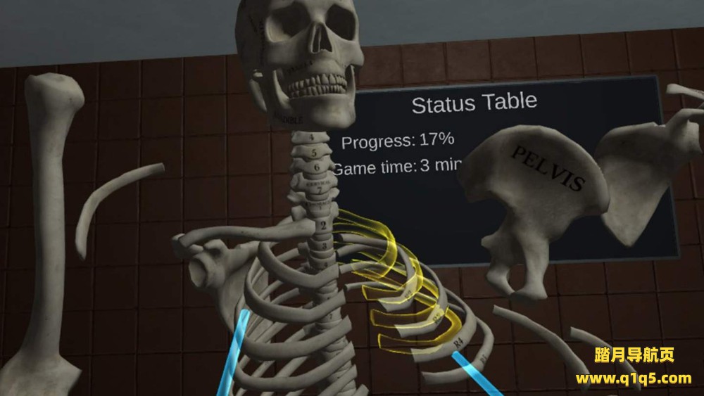 Oculus Quest 游戏《人体解剖学》Human Anatomy Puzzle
