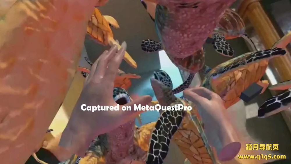 Oculus Quest 游戏《动物园+海洋手部追踪ZOSU通行证》Zoo + Ocean Handtracking ZOSU Passthrough