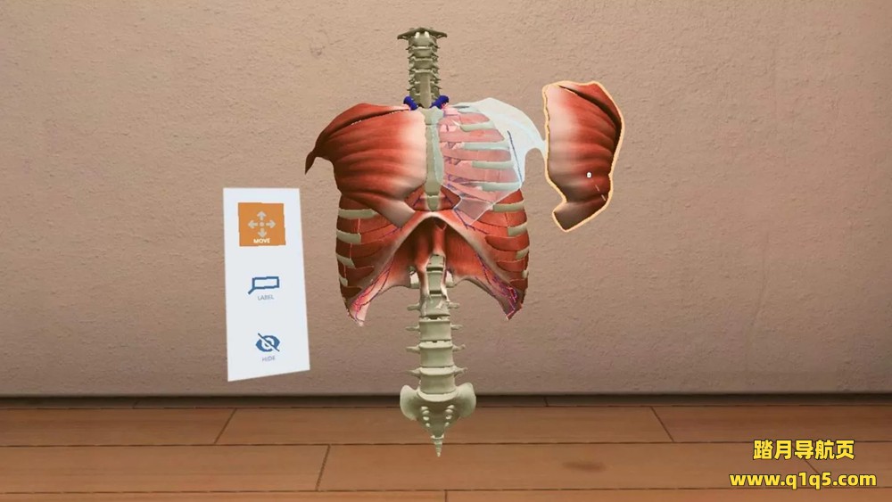 Oculus Quest 游戏《生物数字人》BioDigital Human