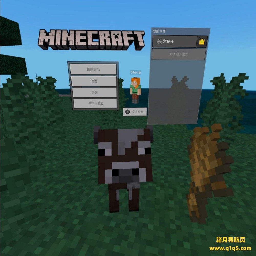 Oculus Go 游戏《Minecraft VR》我的世界VR