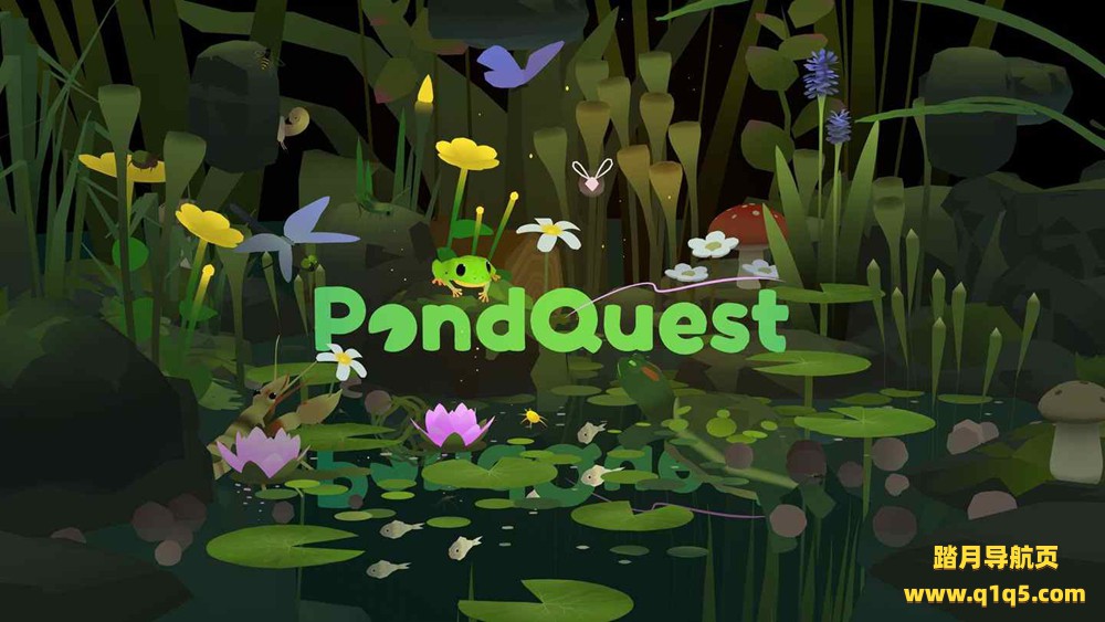 Meta Quest 游戏《池塘探索》PondQuest