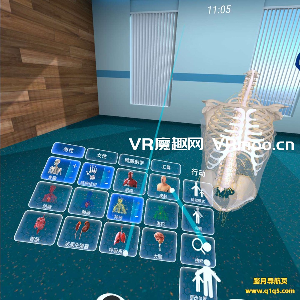 Oculus Quest 游戏《高中解剖学汉化中文版》High School Anatomy for Quest
