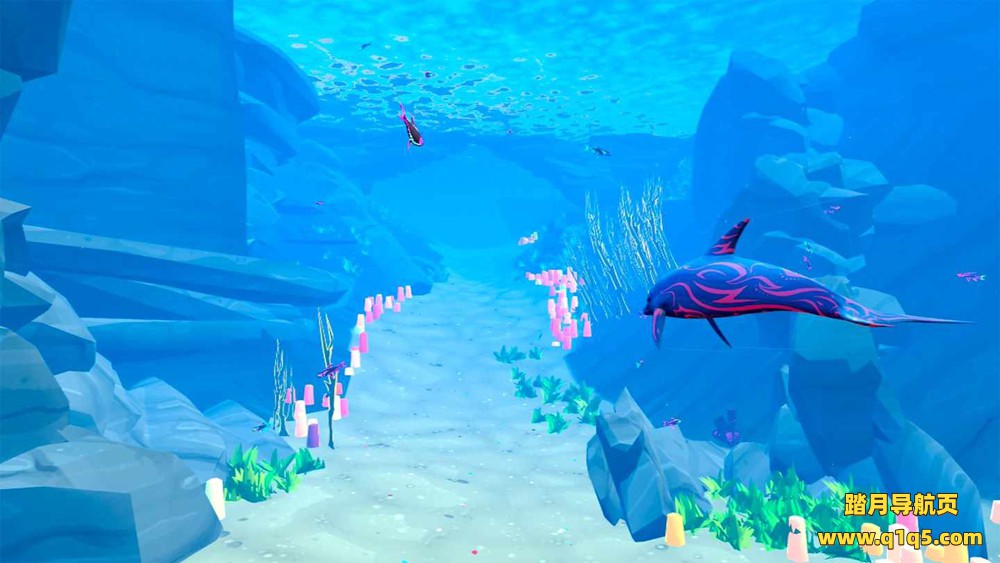 Oculus Quest 游戏《两只海豚》Jupiter and Mars VR