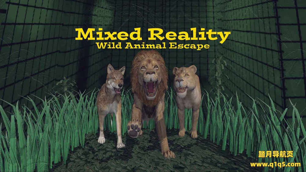 Meta Quest 游戏《Mixed Reality Wild Animal Escape》混合现实野生动物逃生