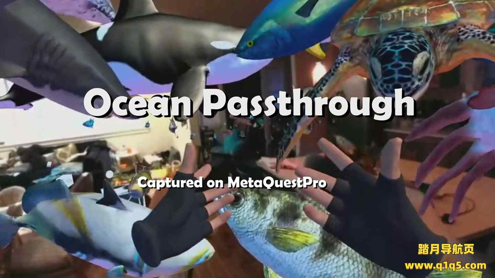 Oculus Quest 游戏《海洋世界》Ocean Passthrough