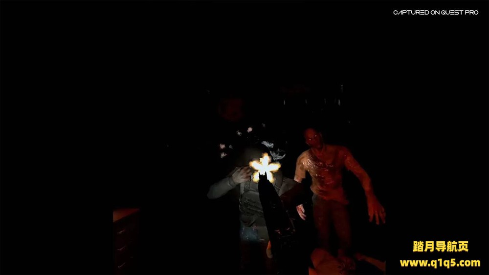 Oculus Quest 游戏《让我们传播VR》Pandemus VR