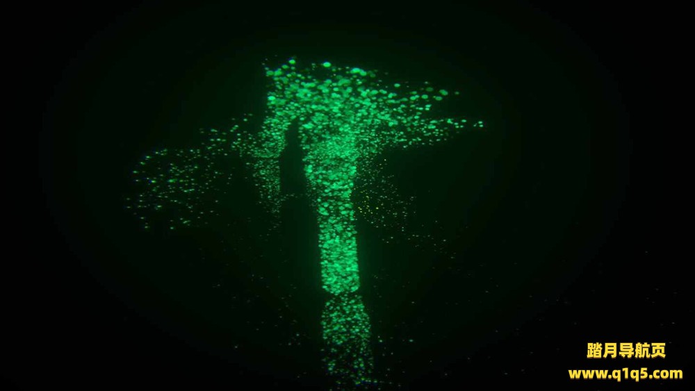 Oculus Quest 游戏《链接》The Link