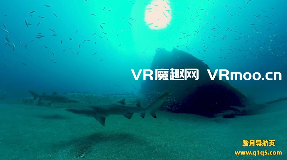 Oculus Quest 游戏《环游世界》Ehop VR