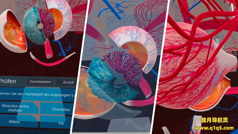 Oculus Quest 游戏《解剖实验室》VR Anatomy Lab