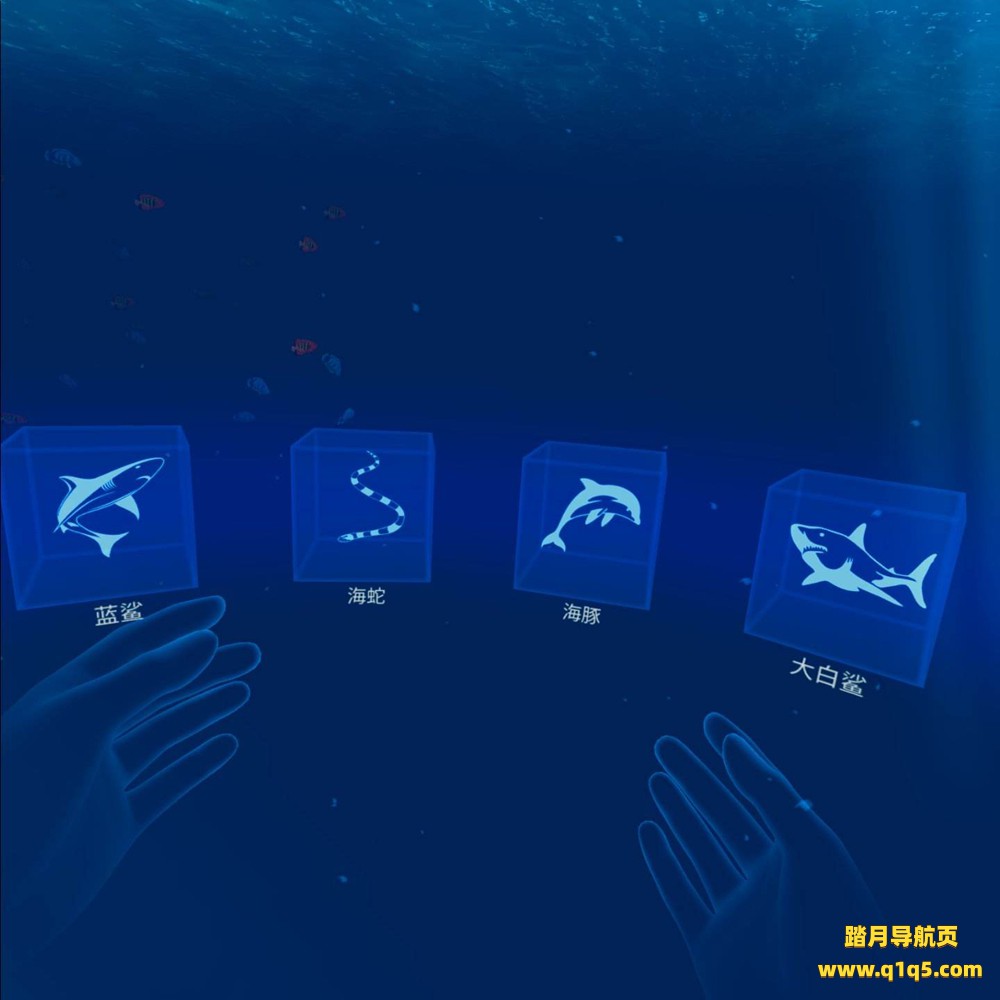Oculus Quest 游戏《海洋裂谷 汉化中文版》Ocean Rift