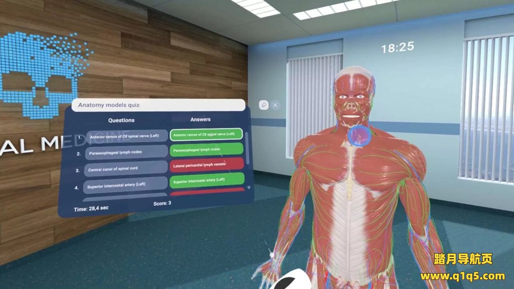 Oculus Quest 游戏《人体解剖VR》Human Anatomy VR