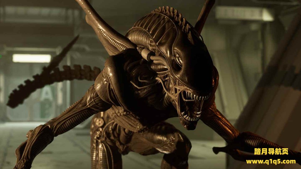 Oculus Quest 游戏《异形：侠盗入侵》Alien- Rogue Incursion