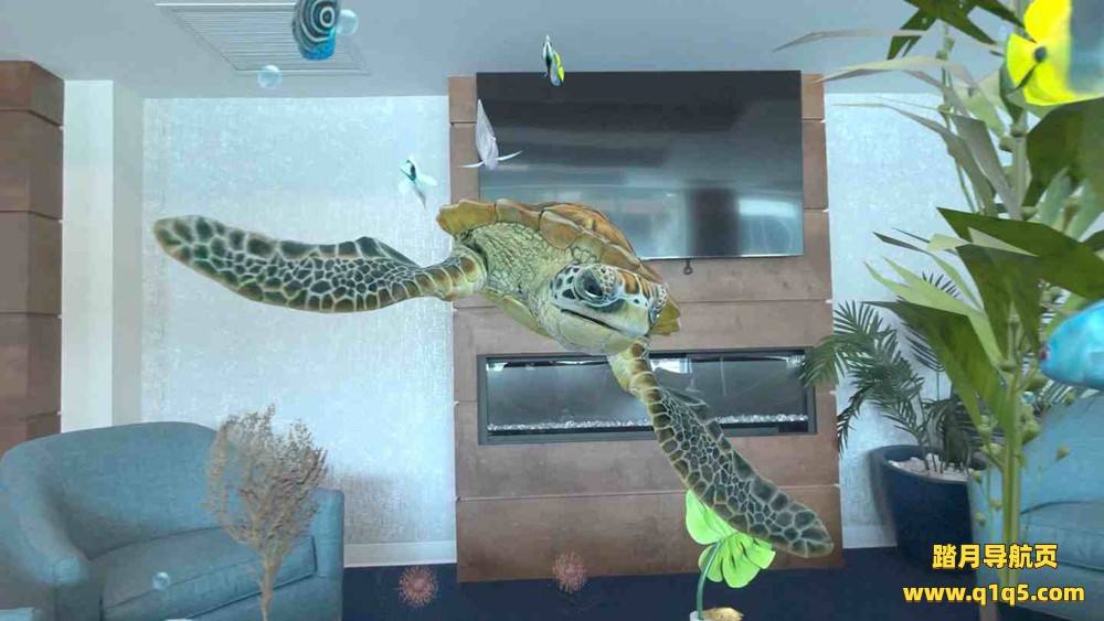 Oculus Quest 游戏《水族馆探险》Aquarium Adventures