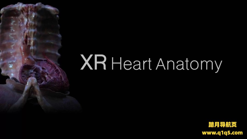 Oculus Quest 游戏《XR 心脏解剖》XR Heart Anatomy