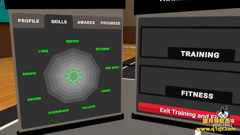 Oculus Quest 游戏《匹克球一号》Pickleball One