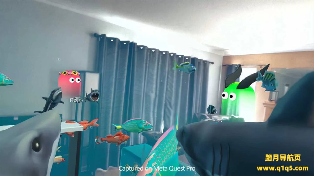 Oculus Quest 游戏《格罗基特》Grokit