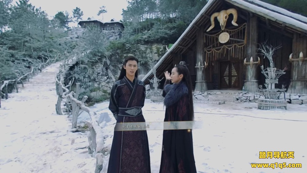 爱奇艺VR(Oculus Quest 版本 iQIYI VR)