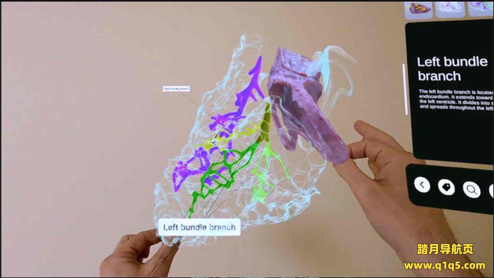 Oculus Quest 游戏《XR 心脏解剖》XR Heart Anatomy