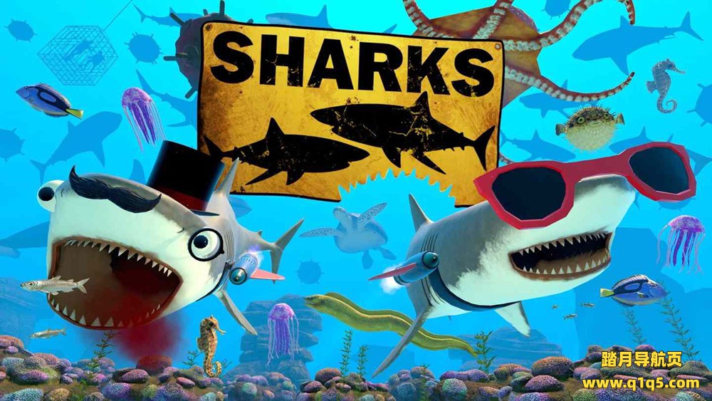 Oculus Quest 游戏《鲨鱼》SHARKS