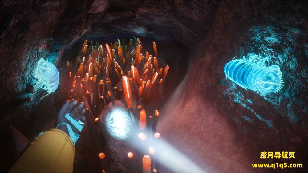 Meta Quest 游戏《蓝色深渊》Biolum