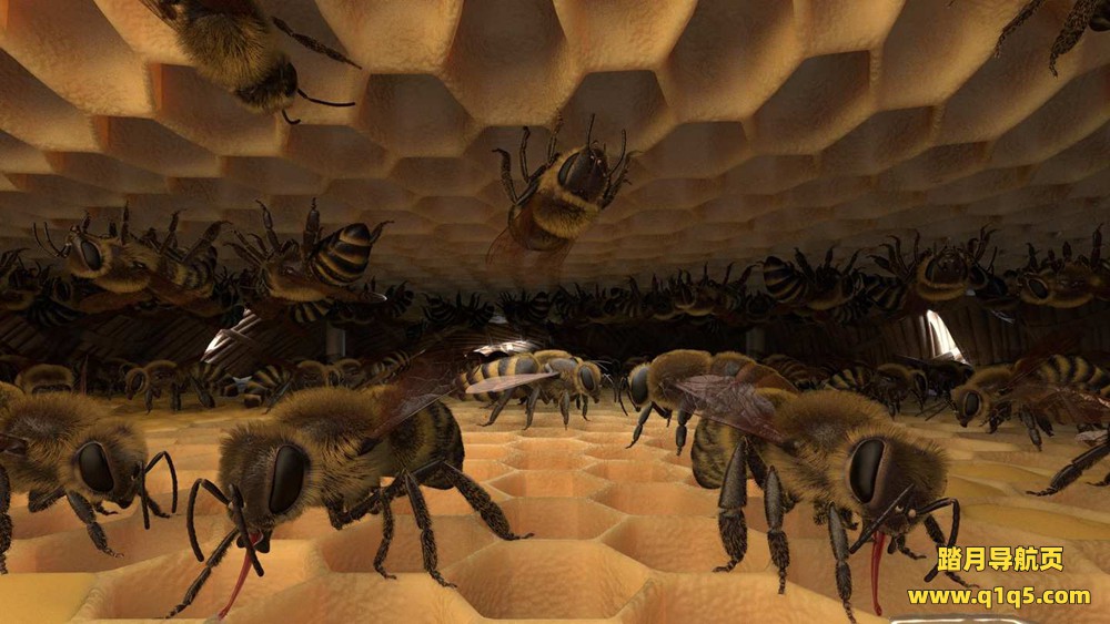 Oculus Quest 游戏《蜜蜂VR》Honeybee VR