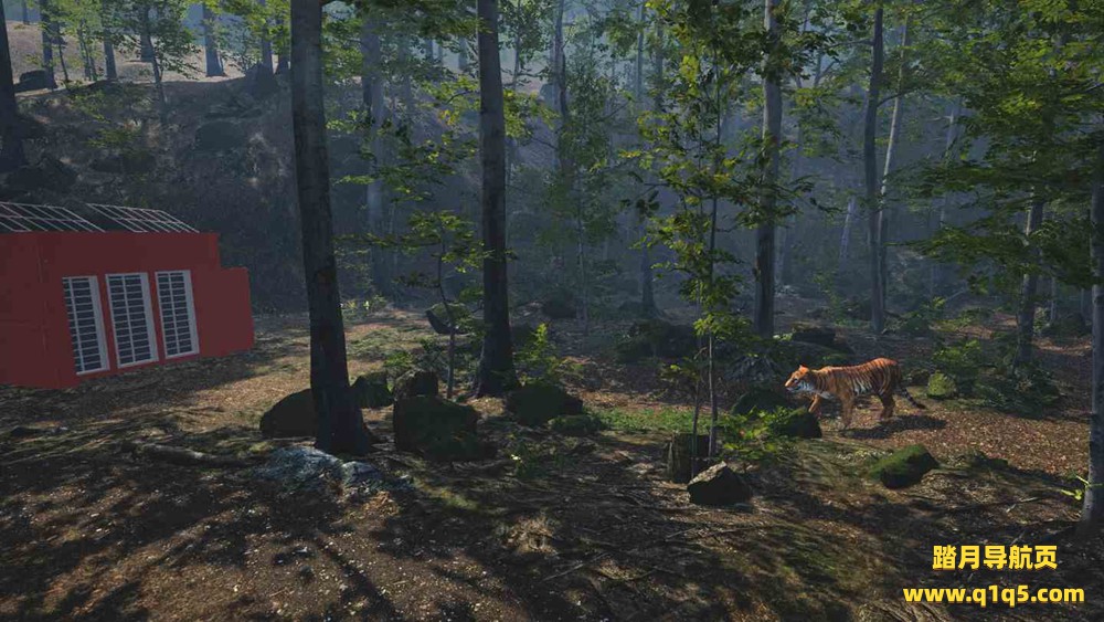 Meta Quest 游戏《大型猫科动物》Big Cat Rescue