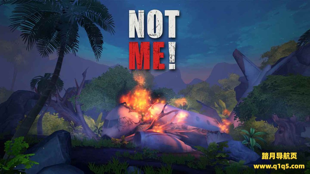 OculusQuest 游戏《荒岛求生、不是我》NOT ME