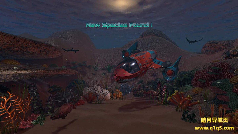 Oculus Quest 游戏《发现新物种》New Species Found