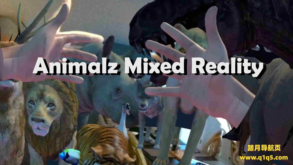 Oculus Quest 游戏《动物混合现实》Animalz Mixed Reality