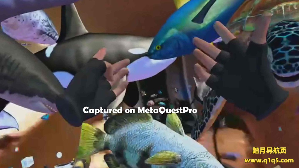 Oculus Quest 游戏《海洋世界》Ocean Passthrough
