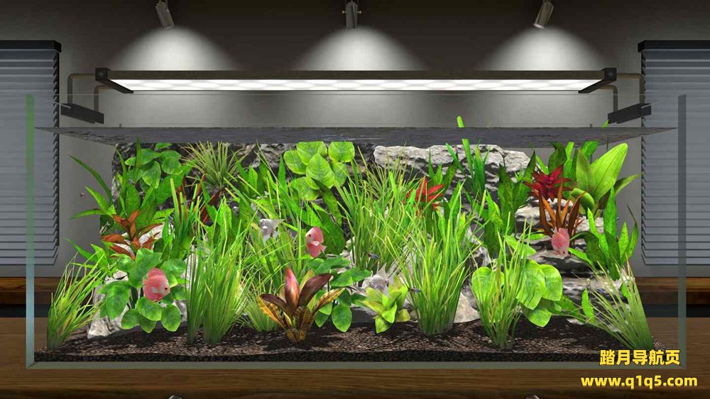 Oculus Quest 游戏《水族造景》Aquascape