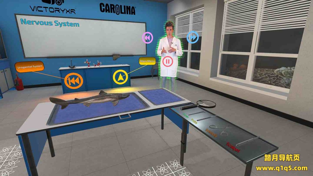 Oculus Quest 游戏《解剖模拟器 鲨鱼》Dissection Simulator- Shark Edition VR