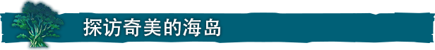 Oculus Quest 游戏《海之呼唤汉化版》Call of the Sea
